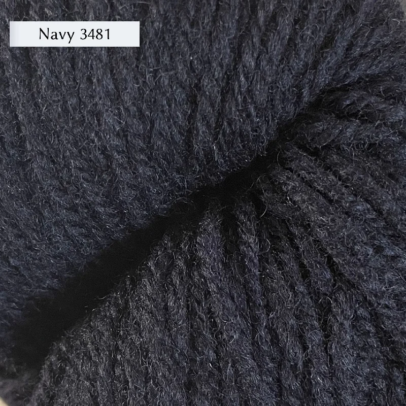 Navy 3481